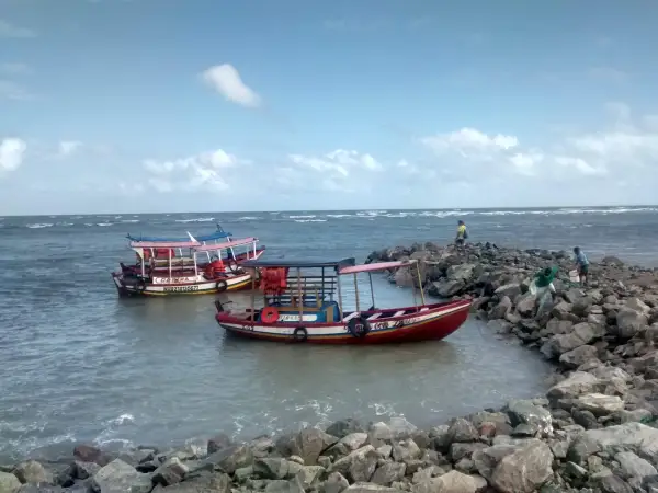 São José + Raposa
