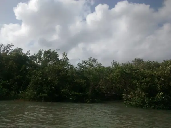 São José + Raposa + Náutico